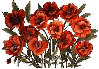 fleurs et nature (132).gif